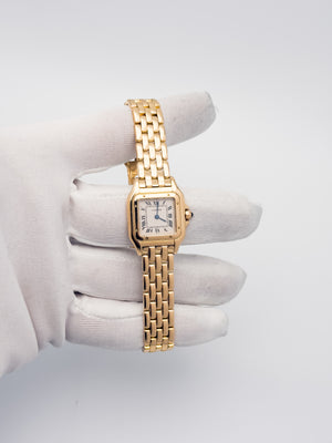Panthere SM - 10702